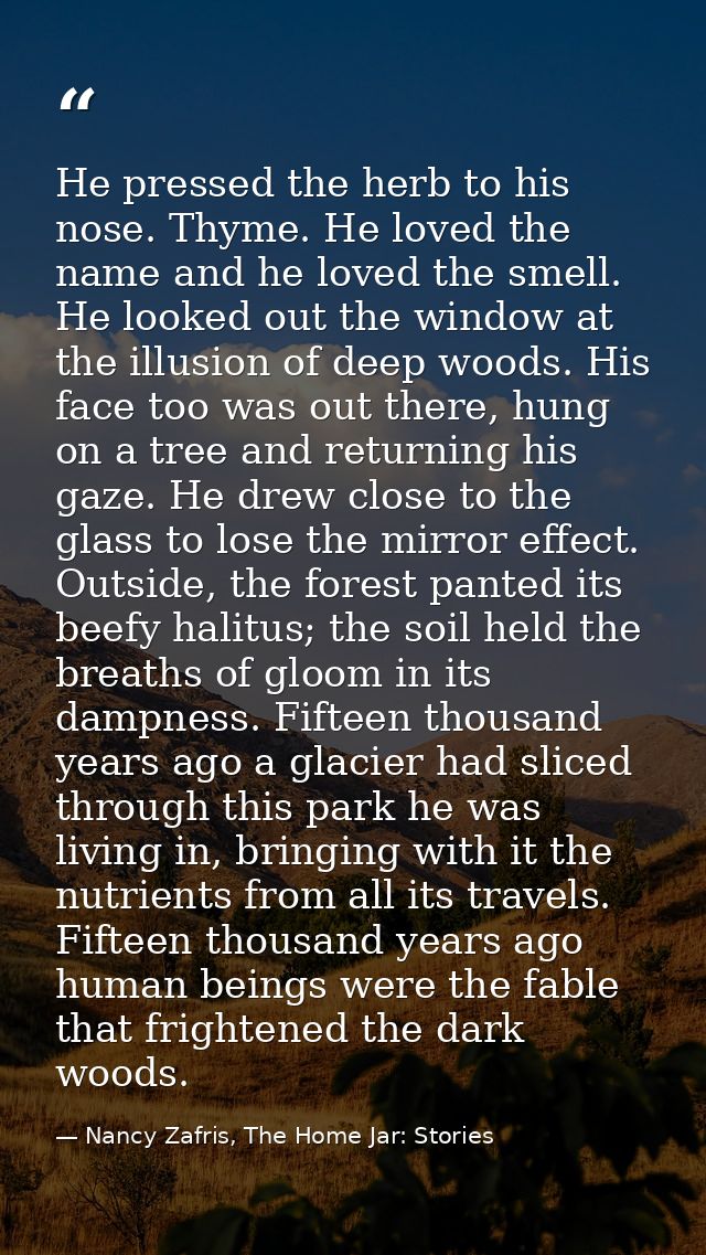 He pressed the herb to his nose. Thyme. He loved the name and he loved the smell. He looked out the window at the illusi — Nancy Zafris, The Home Jar: Stories
