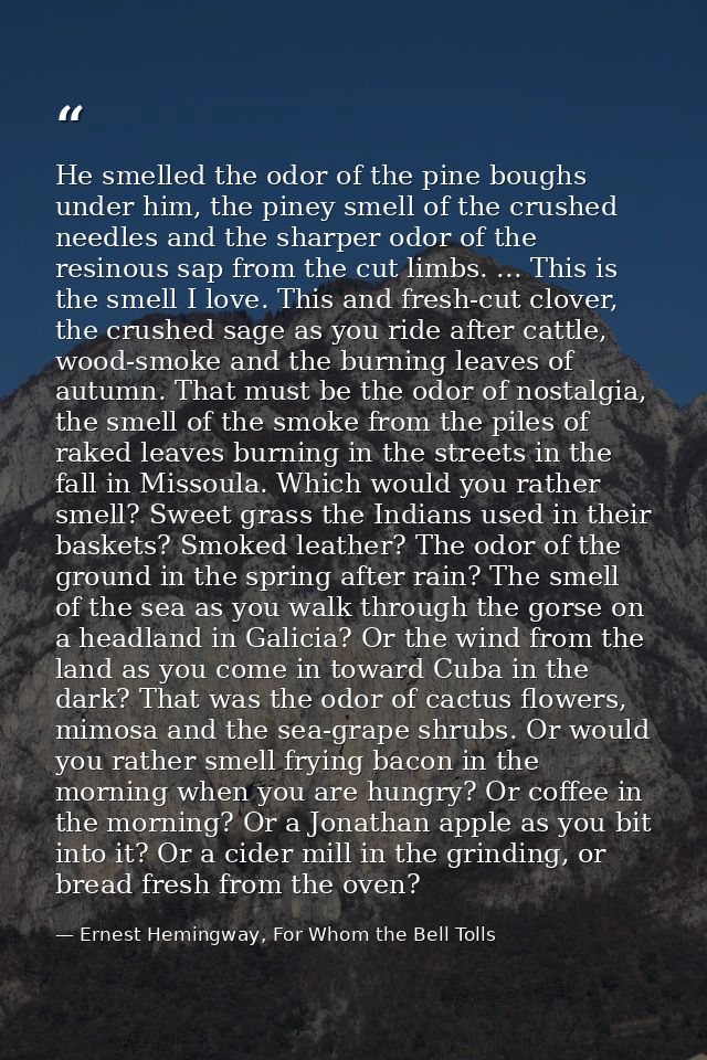 He smelled the odor of the pine boughs under him, the piney smell of the crushed needles and the sharper odor of the res — Ernest Hemingway, For Whom the Bell Tolls