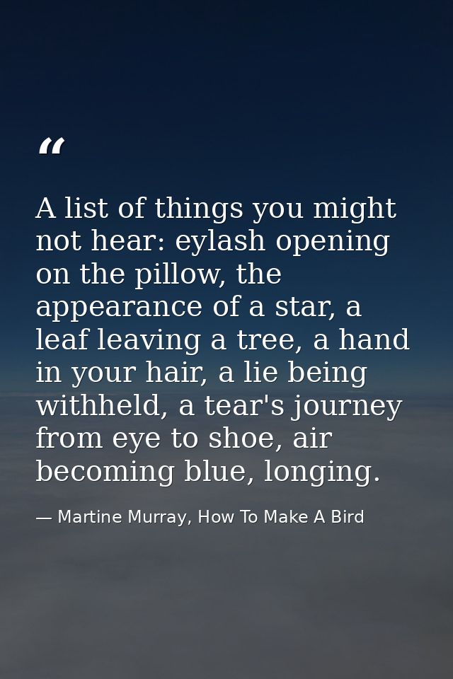 A list of things you might not hear: eylash opening on the pillow, the appearance of a star, a leaf leaving a tree, a ha — Martine Murray, How To Make A Bird