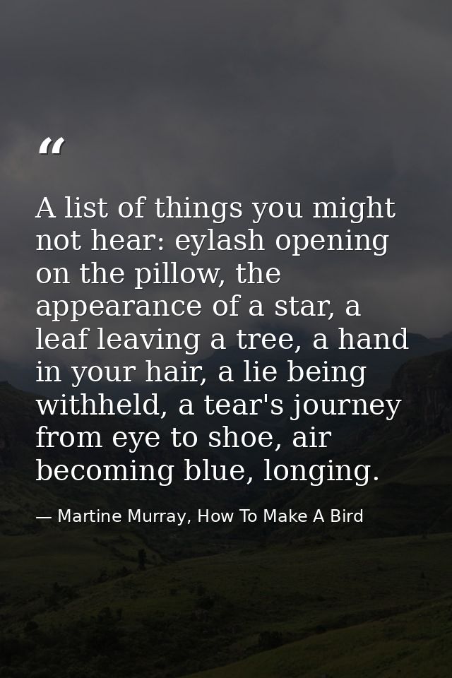A list of things you might not hear: eylash opening on the pillow, the appearance of a star, a leaf leaving a tree, a ha — Martine Murray, How To Make A Bird