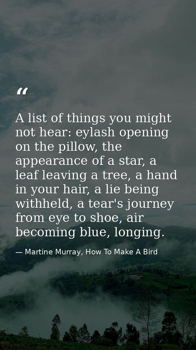 A list of things you might not hear: eylash opening on the pillow, the appearance of a star, a leaf leaving a tree, a ha — Martine Murray, How To Make A Bird