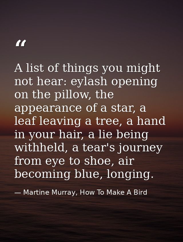 A list of things you might not hear: eylash opening on the pillow, the appearance of a star, a leaf leaving a tree, a ha — Martine Murray, How To Make A Bird