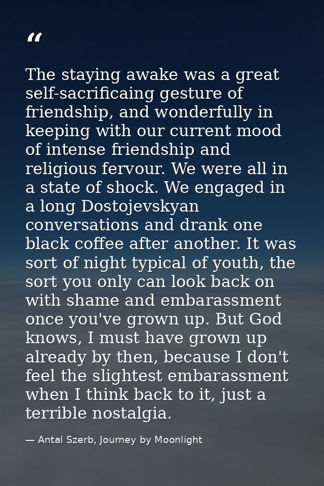 The staying awake was a great self-sacrificaing gesture of friendship, and wonderfully in keeping with our current mood  — Antal Szerb, Journey by Moonlight