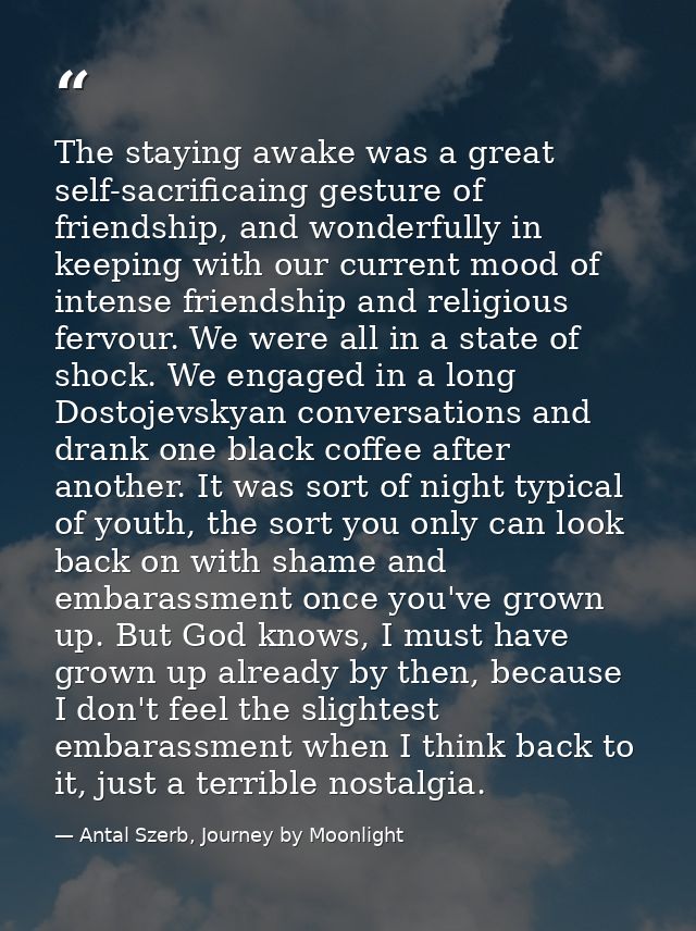 The staying awake was a great self-sacrificaing gesture of friendship, and wonderfully in keeping with our current mood  — Antal Szerb, Journey by Moonlight