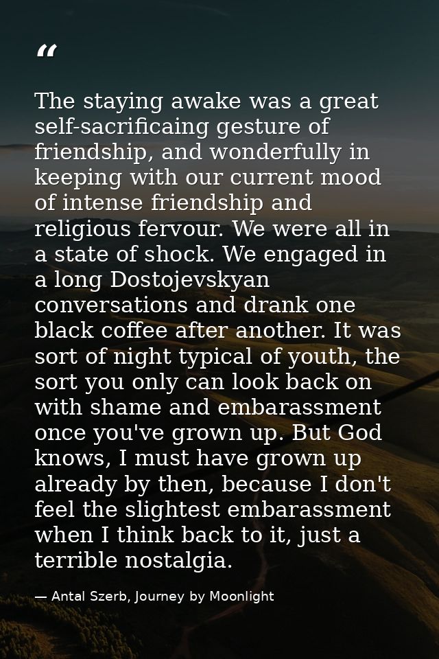 The staying awake was a great self-sacrificaing gesture of friendship, and wonderfully in keeping with our current mood  — Antal Szerb, Journey by Moonlight