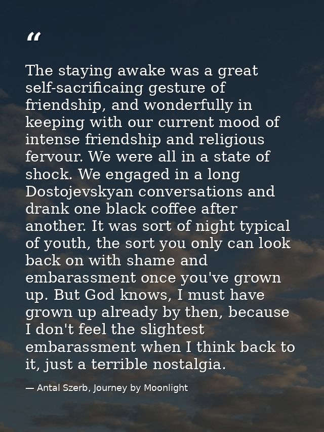 The staying awake was a great self-sacrificaing gesture of friendship, and wonderfully in keeping with our current mood  — Antal Szerb, Journey by Moonlight