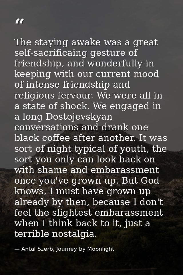 The staying awake was a great self-sacrificaing gesture of friendship, and wonderfully in keeping with our current mood  — Antal Szerb, Journey by Moonlight