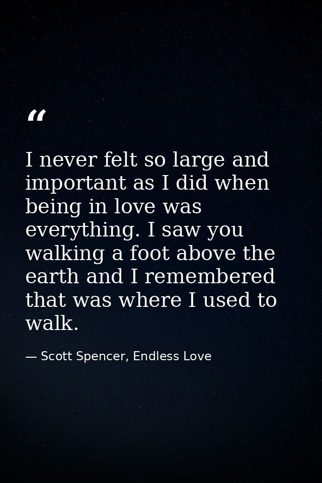 I never felt so large and important as I did when being in love was everything. I saw you walking a foot above the earth — Scott Spencer, Endless Love