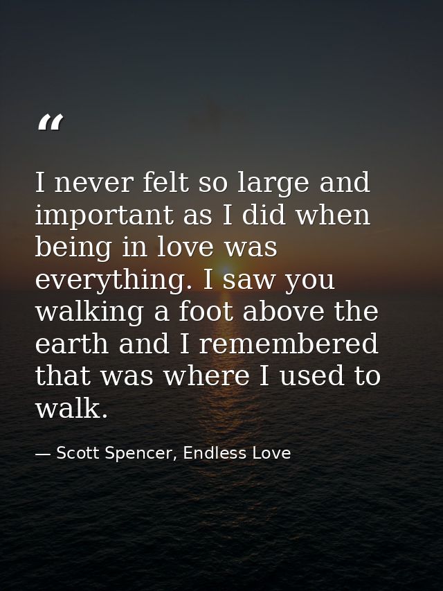I never felt so large and important as I did when being in love was everything. I saw you walking a foot above the earth — Scott Spencer, Endless Love