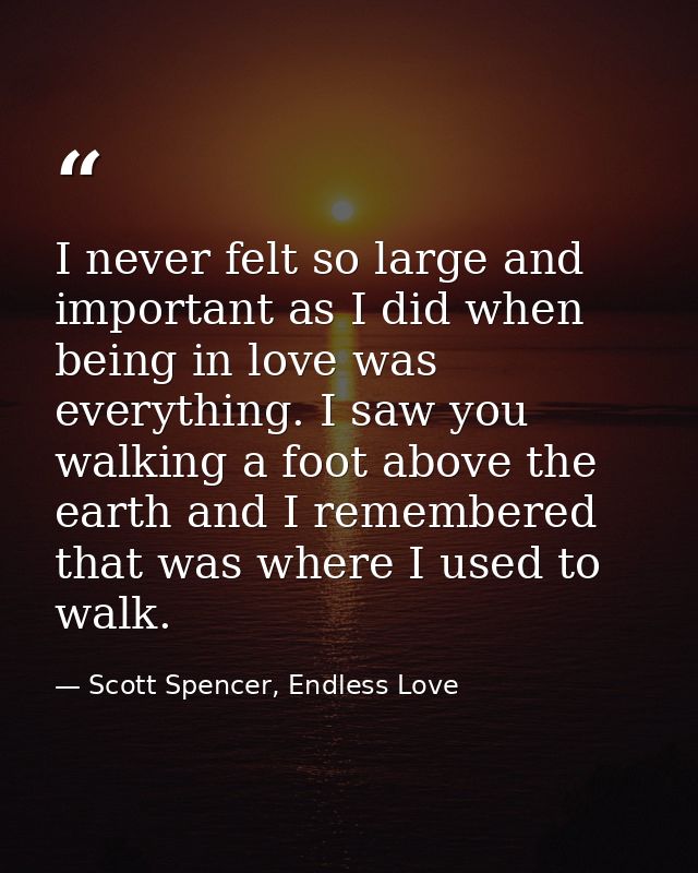 I never felt so large and important as I did when being in love was everything. I saw you walking a foot above the earth — Scott Spencer, Endless Love