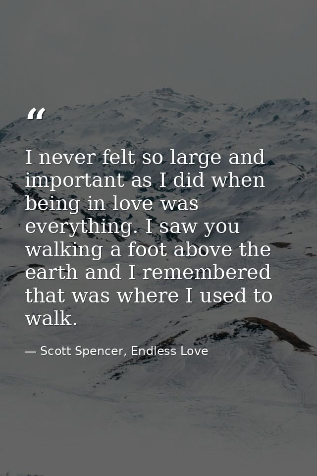 I never felt so large and important as I did when being in love was everything. I saw you walking a foot above the earth — Scott Spencer, Endless Love