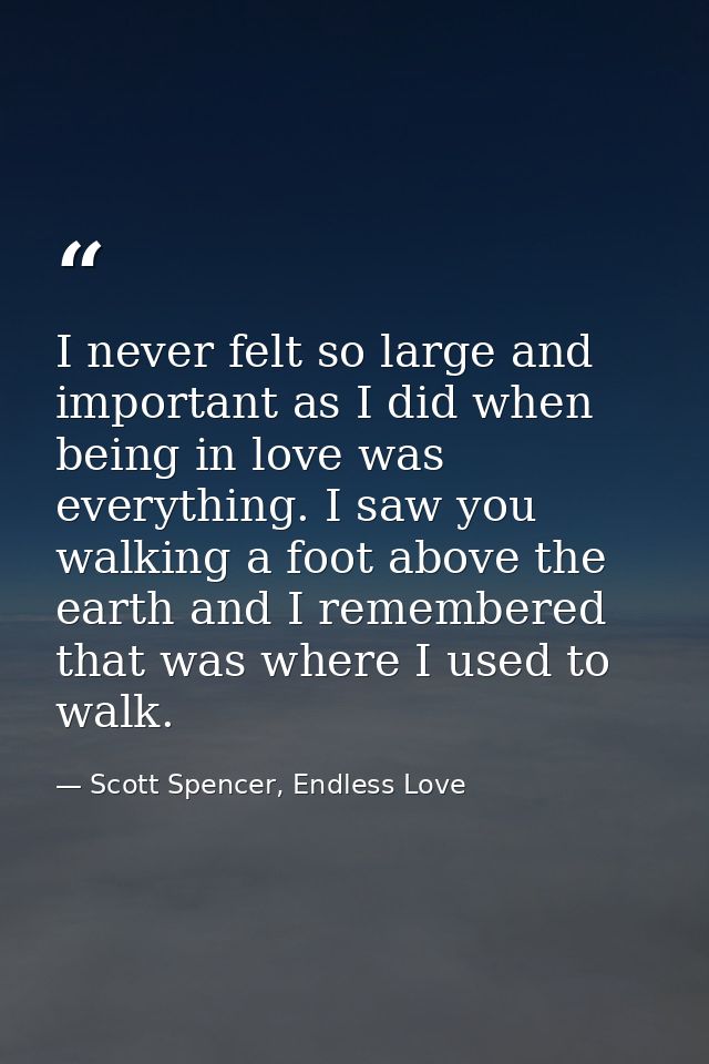 I never felt so large and important as I did when being in love was everything. I saw you walking a foot above the earth — Scott Spencer, Endless Love