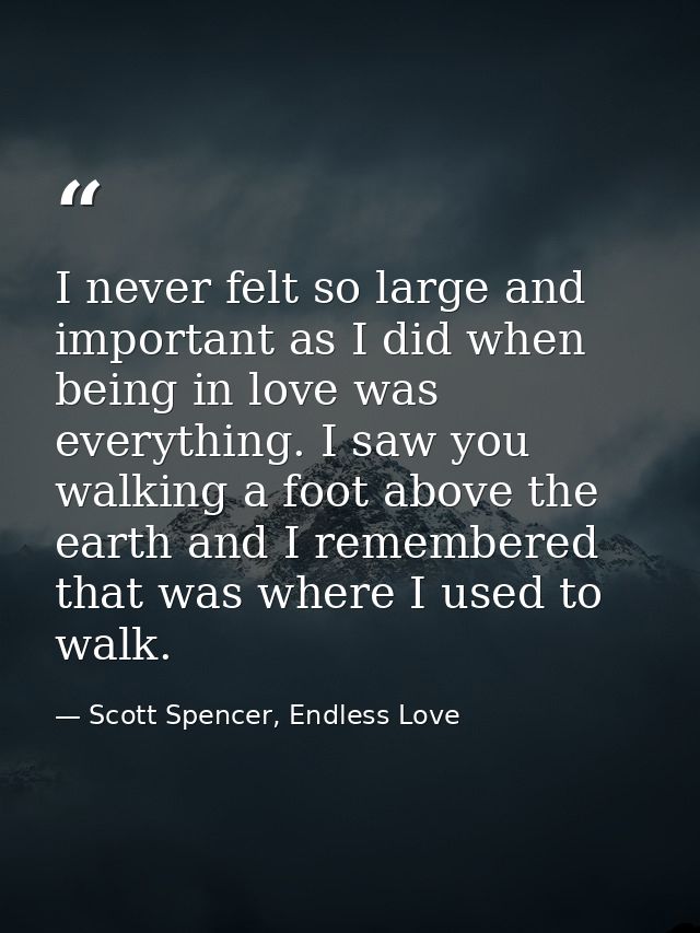 I never felt so large and important as I did when being in love was everything. I saw you walking a foot above the earth — Scott Spencer, Endless Love