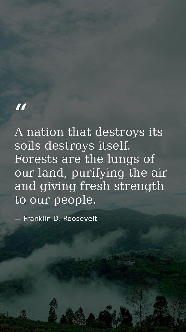 A nation that destroys its soils destroys itself. Forests are the lungs of our land, purifying the air and giving fresh  — Franklin D. Roosevelt
