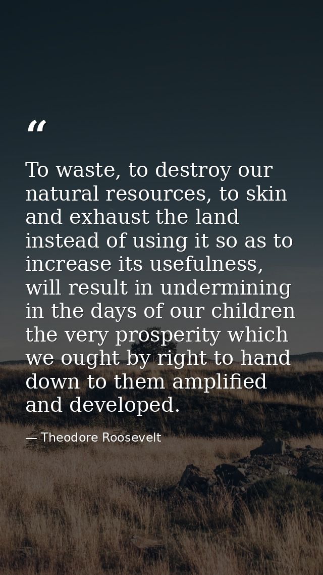To waste, to destroy our natural resources, to skin and exhaust the land instead of using it so as to increase its usefu — Theodore Roosevelt