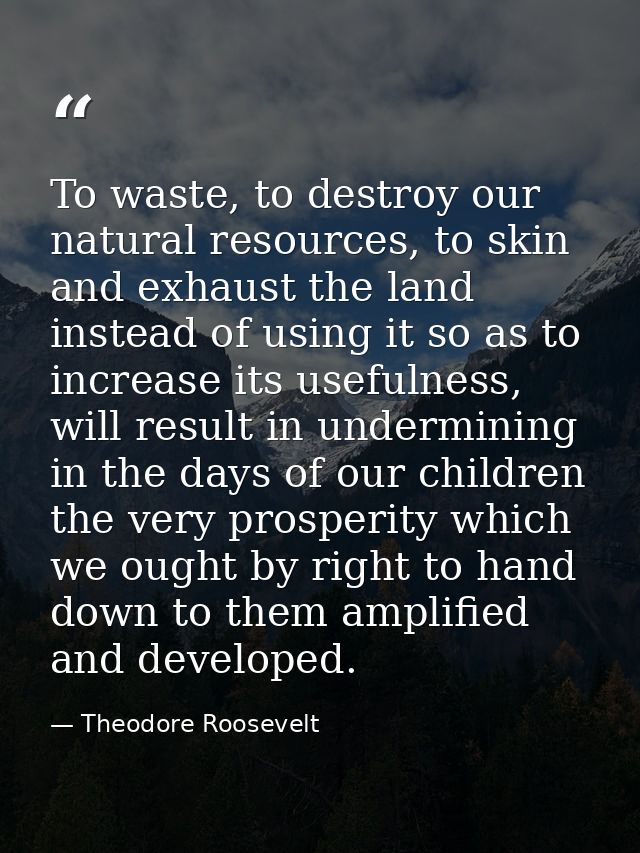 To waste, to destroy our natural resources, to skin and exhaust the land instead of using it so as to increase its usefu — Theodore Roosevelt