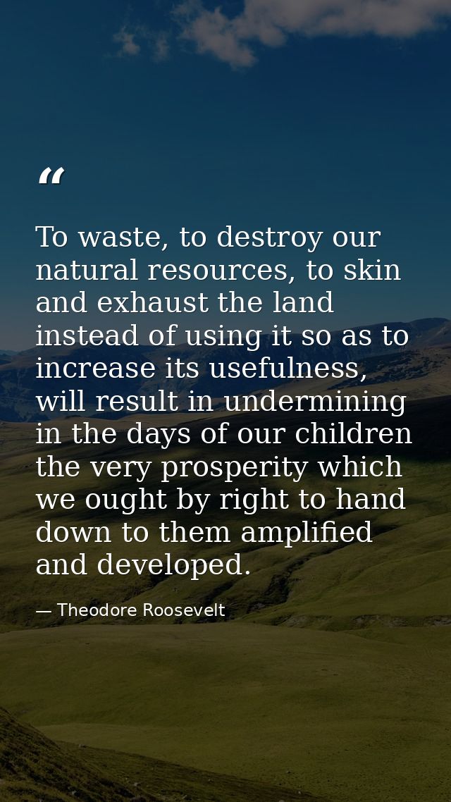 To waste, to destroy our natural resources, to skin and exhaust the land instead of using it so as to increase its usefu — Theodore Roosevelt