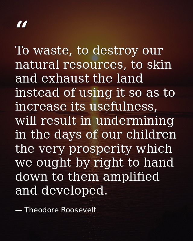 To waste, to destroy our natural resources, to skin and exhaust the land instead of using it so as to increase its usefu — Theodore Roosevelt