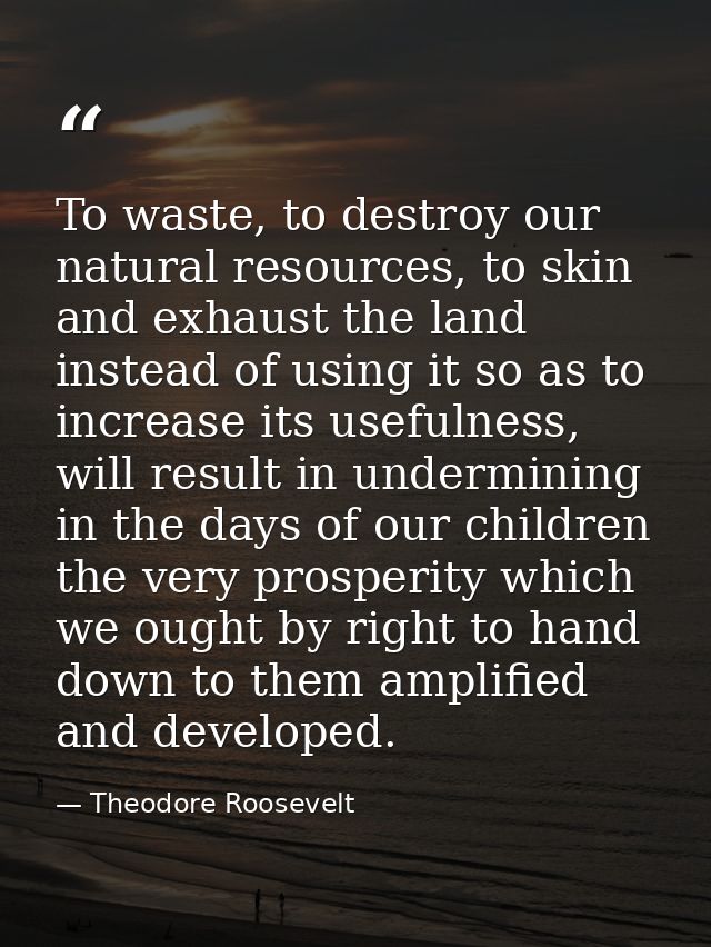 To waste, to destroy our natural resources, to skin and exhaust the land instead of using it so as to increase its usefu — Theodore Roosevelt