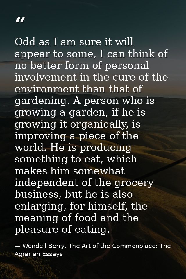 Odd as I am sure it will appear to some, I can think of no better form of personal involvement in the cure of the enviro — Wendell Berry, The Art of the Commonplace: The Agrarian Essays