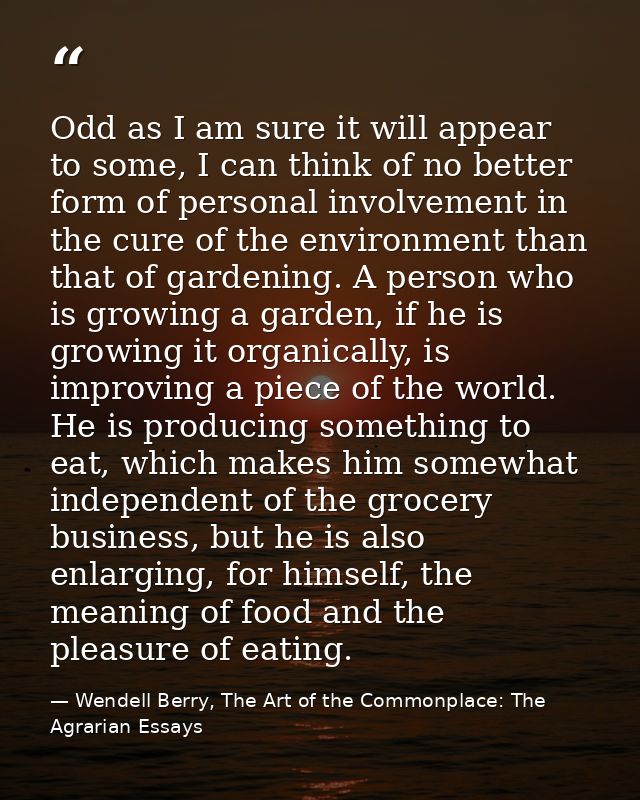 Odd as I am sure it will appear to some, I can think of no better form of personal involvement in the cure of the enviro — Wendell Berry, The Art of the Commonplace: The Agrarian Essays