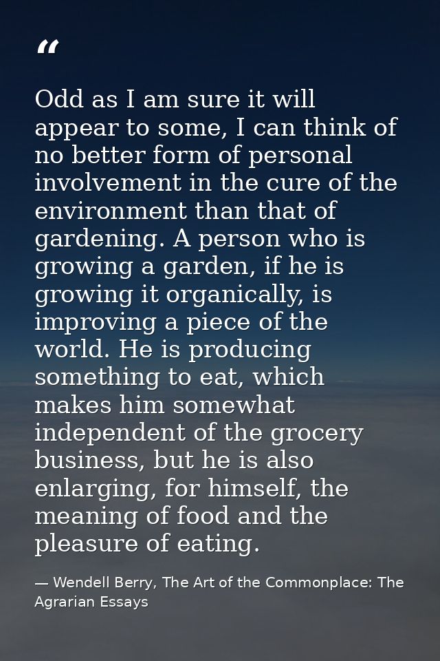 Odd as I am sure it will appear to some, I can think of no better form of personal involvement in the cure of the enviro — Wendell Berry, The Art of the Commonplace: The Agrarian Essays