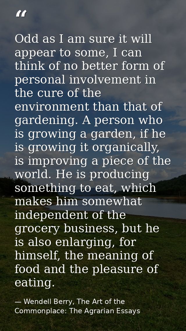 Odd as I am sure it will appear to some, I can think of no better form of personal involvement in the cure of the enviro — Wendell Berry, The Art of the Commonplace: The Agrarian Essays