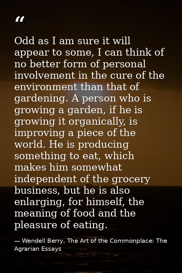 Odd as I am sure it will appear to some, I can think of no better form of personal involvement in the cure of the enviro — Wendell Berry, The Art of the Commonplace: The Agrarian Essays