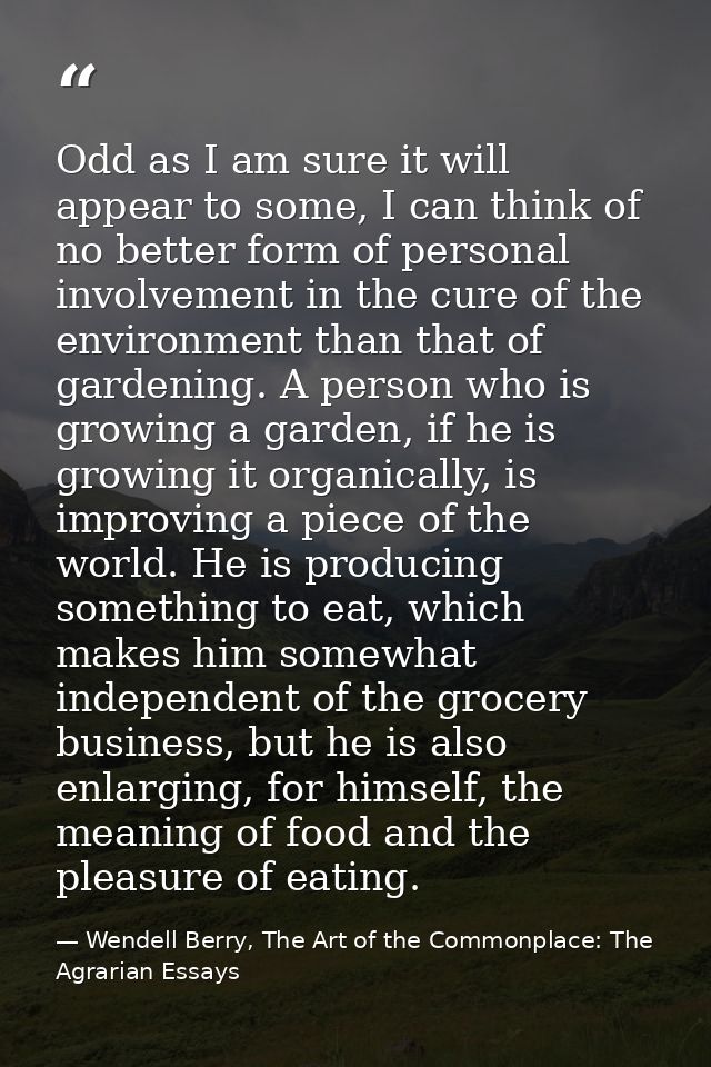Odd as I am sure it will appear to some, I can think of no better form of personal involvement in the cure of the enviro — Wendell Berry, The Art of the Commonplace: The Agrarian Essays
