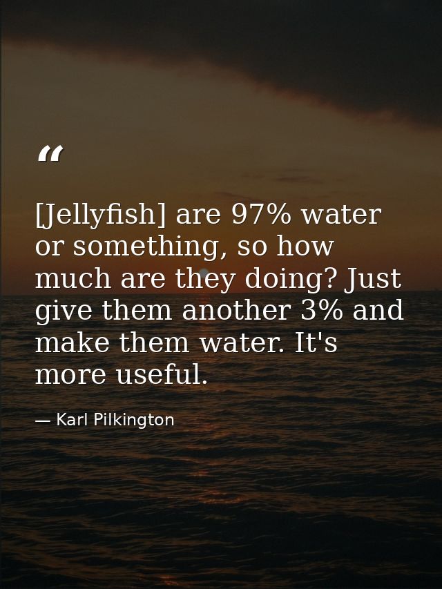 [Jellyfish] are 97% water or something, so how much are they doing? Just give them another 3% and make them water. It's  — Karl Pilkington
