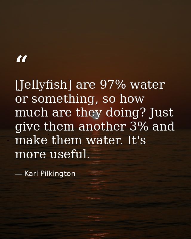 [Jellyfish] are 97% water or something, so how much are they doing? Just give them another 3% and make them water. It's  — Karl Pilkington