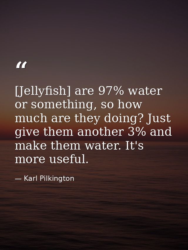 [Jellyfish] are 97% water or something, so how much are they doing? Just give them another 3% and make them water. It's  — Karl Pilkington