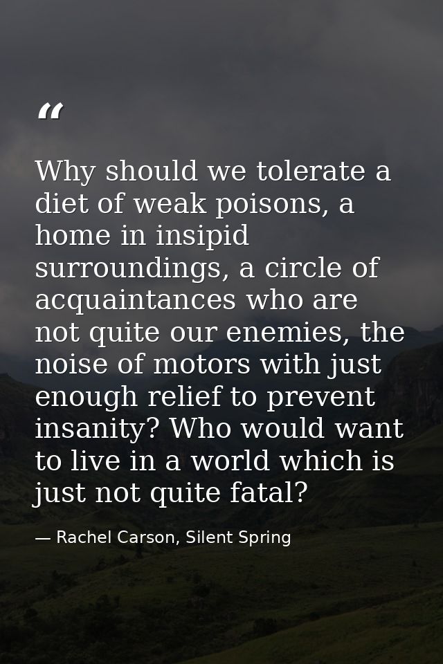 Why should we tolerate a diet of weak poisons, a home in insipid surroundings, a circle of acquaintances who are not qui — Rachel Carson, Silent Spring