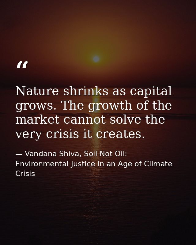 Nature shrinks as capital grows. The growth of the market cannot solve the very crisis it creates. — Vandana Shiva, Soil Not Oil: Environmental Justice in an Age of Climate Crisis