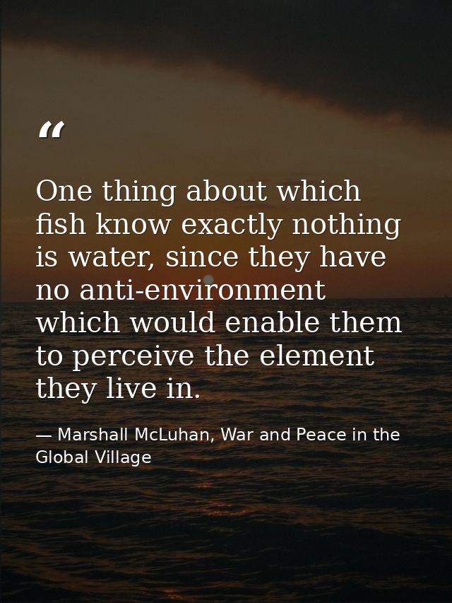 One thing about which fish know exactly nothing is water, since they have no anti-environment which would enable them to — Marshall McLuhan, War and Peace in the Global Village