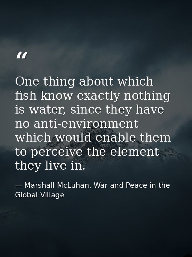 One thing about which fish know exactly nothing is water, since they have no anti-environment which would enable them to — Marshall McLuhan, War and Peace in the Global Village