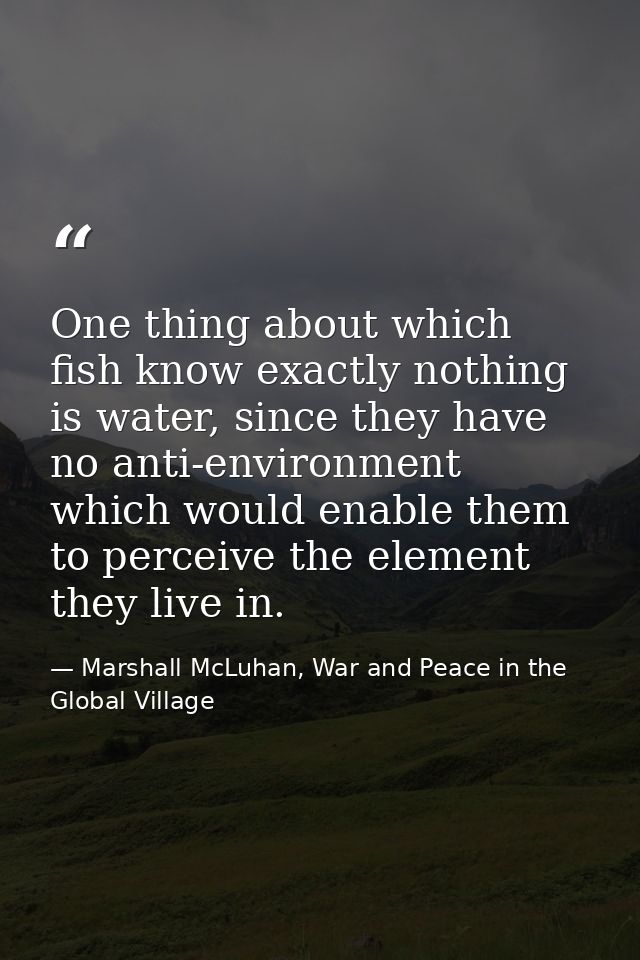 One thing about which fish know exactly nothing is water, since they have no anti-environment which would enable them to — Marshall McLuhan, War and Peace in the Global Village