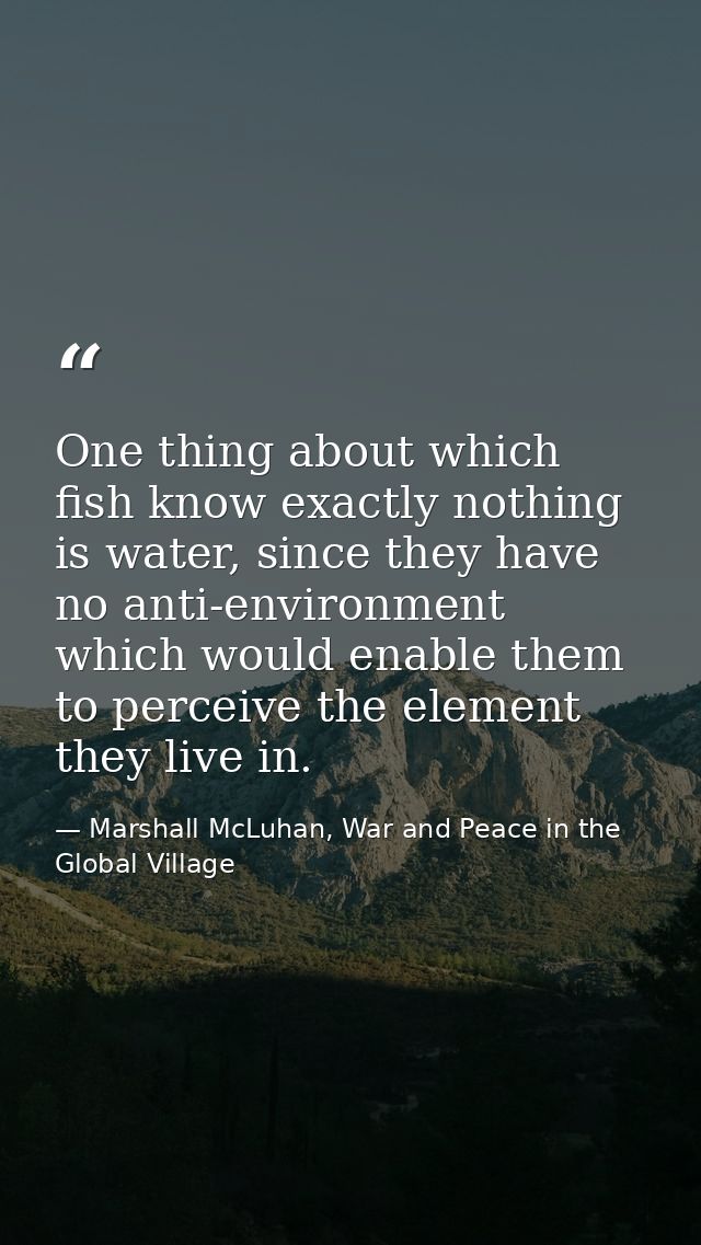 One thing about which fish know exactly nothing is water, since they have no anti-environment which would enable them to — Marshall McLuhan, War and Peace in the Global Village