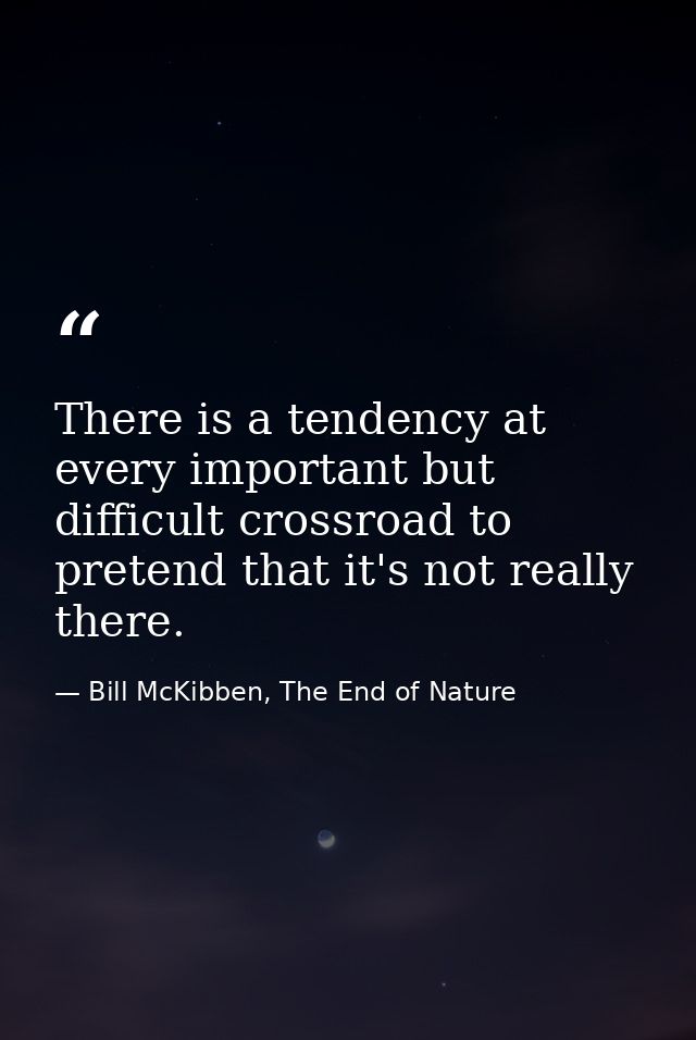 There is a tendency at every important but difficult crossroad to pretend that it's not really there. — Bill McKibben, The End of Nature
