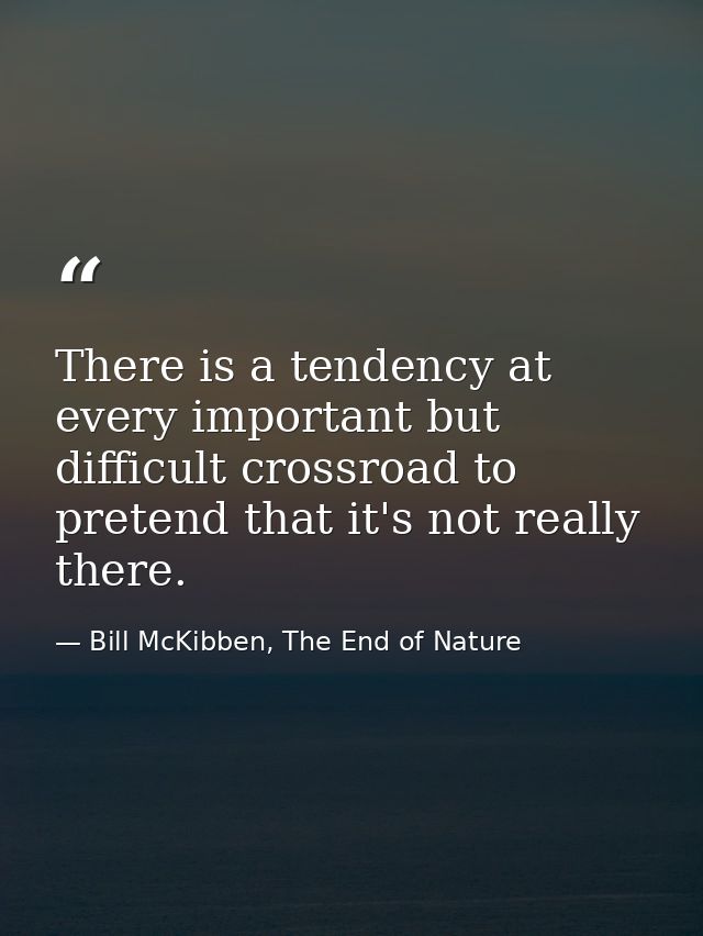 There is a tendency at every important but difficult crossroad to pretend that it's not really there. — Bill McKibben, The End of Nature