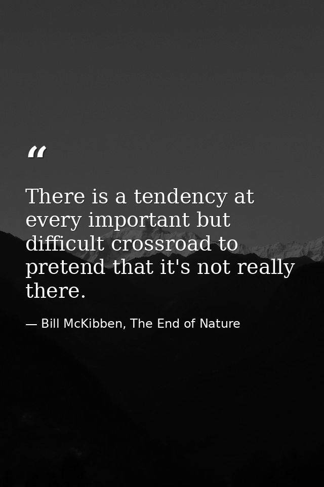 There is a tendency at every important but difficult crossroad to pretend that it's not really there. — Bill McKibben, The End of Nature
