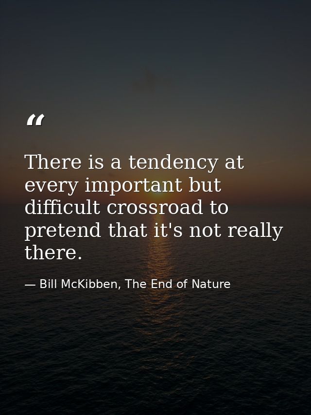 There is a tendency at every important but difficult crossroad to pretend that it's not really there. — Bill McKibben, The End of Nature