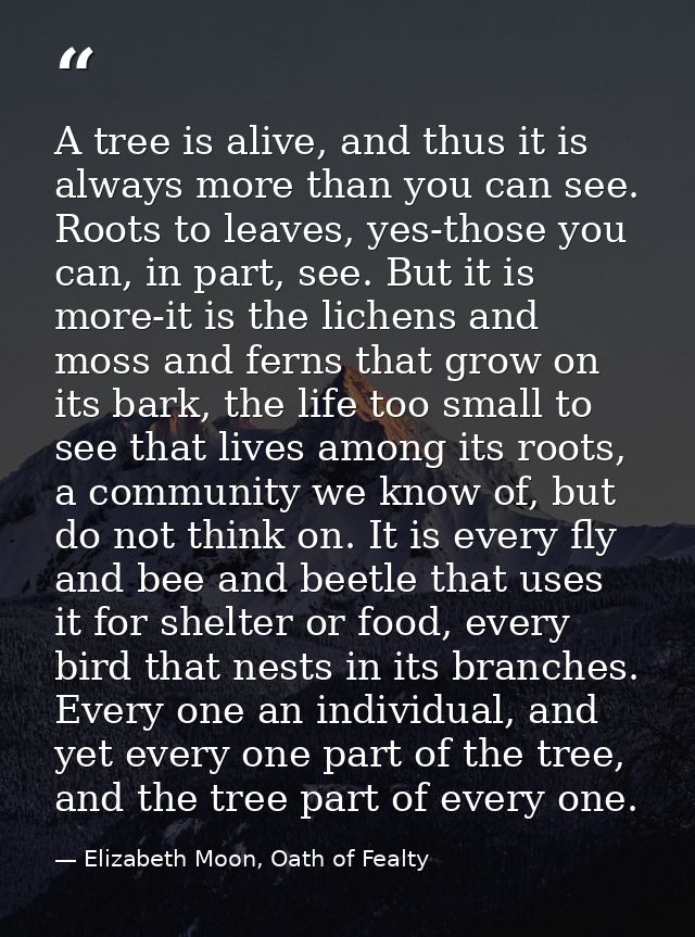 A tree is alive, and thus it is always more than you can see. Roots to leaves, yes-those you can, in part, see. But it i — Elizabeth Moon, Oath of Fealty