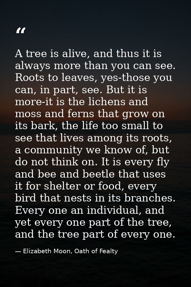A tree is alive, and thus it is always more than you can see. Roots to leaves, yes-those you can, in part, see. But it i — Elizabeth Moon, Oath of Fealty