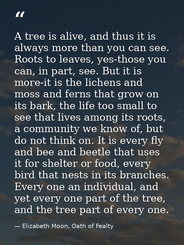 A tree is alive, and thus it is always more than you can see. Roots to leaves, yes-those you can, in part, see. But it i — Elizabeth Moon, Oath of Fealty