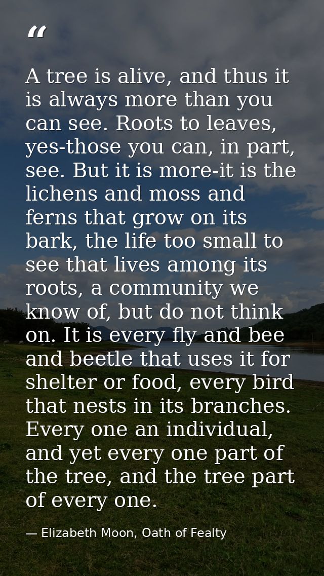 A tree is alive, and thus it is always more than you can see. Roots to leaves, yes-those you can, in part, see. But it i — Elizabeth Moon, Oath of Fealty