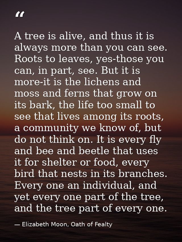 A tree is alive, and thus it is always more than you can see. Roots to leaves, yes-those you can, in part, see. But it i — Elizabeth Moon, Oath of Fealty