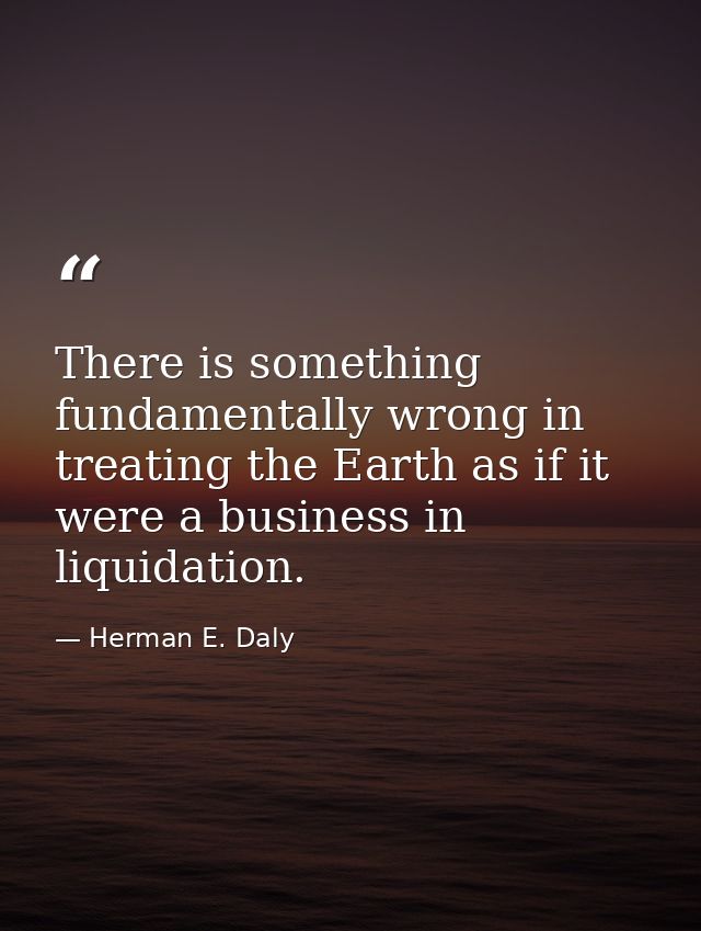 There is something fundamentally wrong in treating the Earth as if it were a business in liquidation. — Herman E. Daly