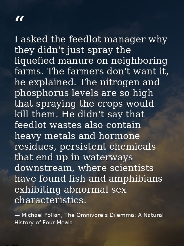 I asked the feedlot manager why they didn't just spray the liquefied manure on neighboring farms. The farmers don't want — Michael Pollan, The Omnivore's Dilemma: A Natural History of Four Meals