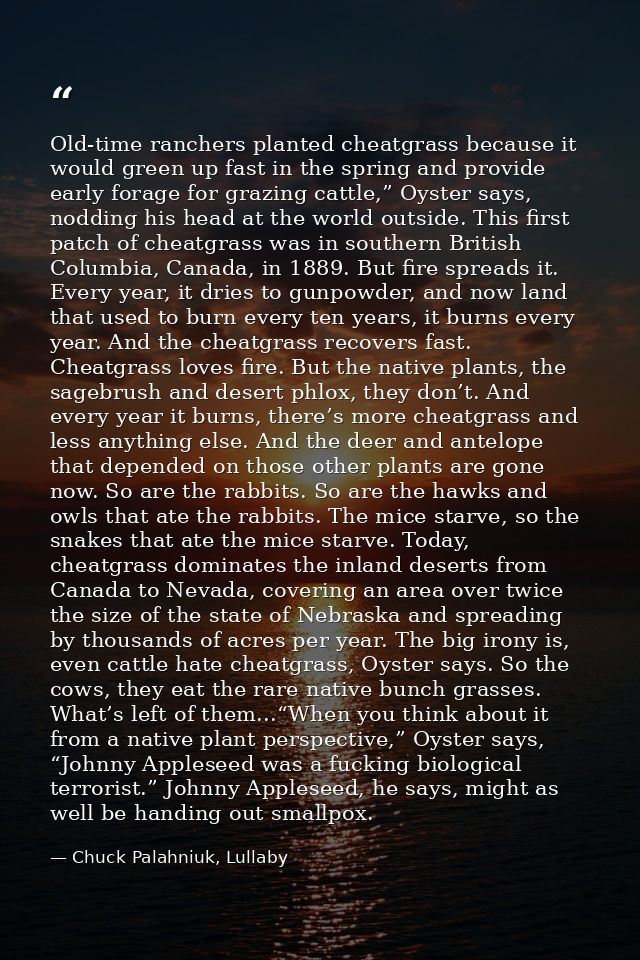 Old-time ranchers planted cheatgrass because it would green up fast in the spring and provide early forage for grazing c — Chuck Palahniuk, Lullaby